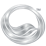 navigating the flow silver logo (1)